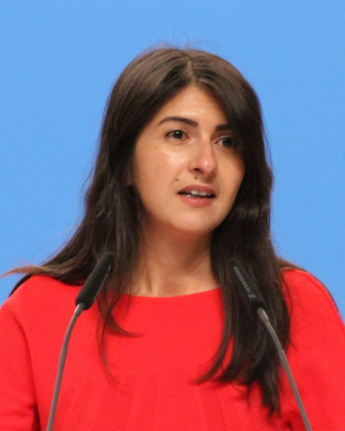 Portrait of Serap Güler